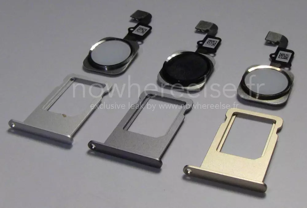 Foto de Componentes filtrados del iPhone 6 (1/6)