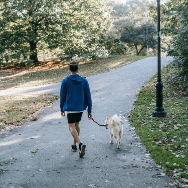 He cambiado salir a andar y a correr por este ejercicio intermedio que es cardio y entrenamiento de fuerza a la vez y no me arrepiento