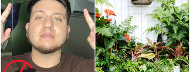 Bastián Jaque, experto en plantas: "Esta es una planta amarga y aromática utilizada durante varios años como repelente natural contra roedores"
