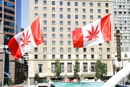 canamo-canada-cannabis.jpg