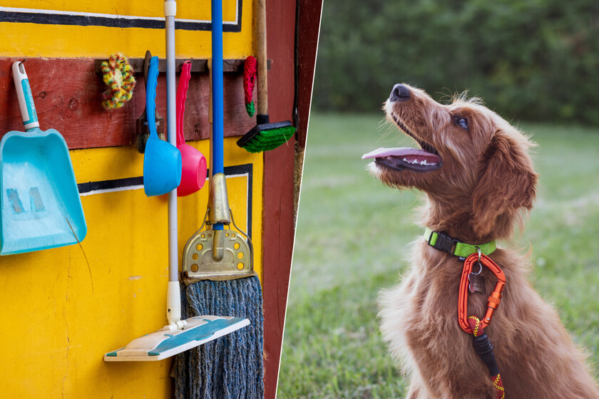 El pueblo español que prohíbe dejar el cubo de la fregona en la terraza