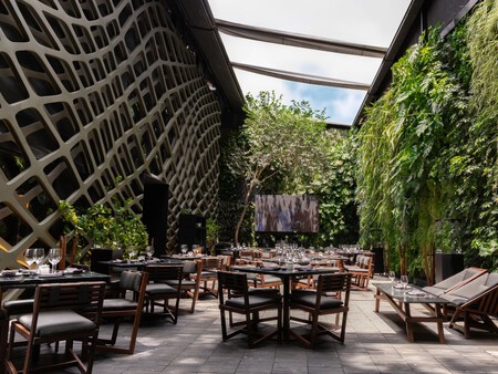 Viaja a Japón sin salir de CDMX: este restaurante evoluciona sin perder su esencia con cocina japonesa, respeto por el producto y una imagen vanguardista en su nueva era