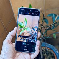 Lo mejor de los Pixel siempre fue su cámara. Ahora los responsables quieren repetir el éxito en el iPhone con esta app gratis  