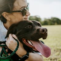 Tu perro pierde los papeles cada vez que te ve salir por la puerta de casa. Y la ciencia tiene algún remedio a mano