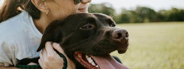 Tu perro pierde los papeles cada vez que te ve salir por la puerta de casa. Y la ciencia tiene algún remedio a mano