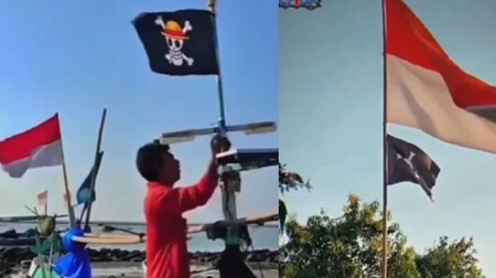 Bandera One Piece 3