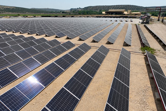 Los Paneles Solares De Acesur