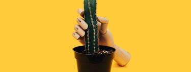 El ejercicio aeróbico y las erecciones masculinas tienen más en común de lo que crees