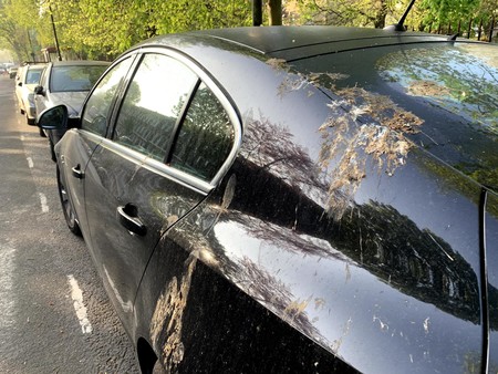 Caca de pájaro artificial contra la corrosión de la pintura de los coches: en esto anda Ford en sus laboratorios