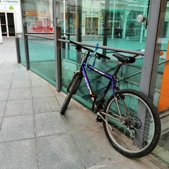 Foto 39 de 154 de la galería fotos-tomadas-con-el-honor-10-lite en Xataka Android