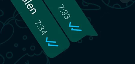 Whatsapp Doble Tick
