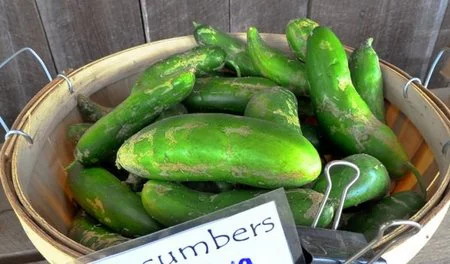 Aproveche la 'crisis del pepino' para comer más verduras