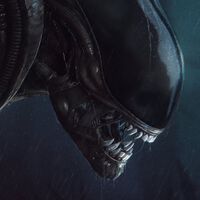 "Es uno de nuestros pilares". Alien Isolation 2 da la mejor de las noticias a los fans de lo físico, pero no es la única novedad del juego de terror 