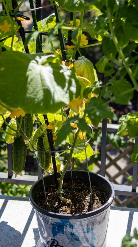 Lily Bui Thi Lqagdfedbks Unsplash