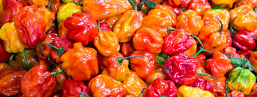 Todos los cocineros coinciden en qué hay que hacer para que los pimientos, chiles y ajíes piquen menos 