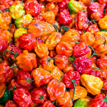 Todos los cocineros coinciden en qué hay que hacer para que los pimientos, chiles y ajíes piquen menos 