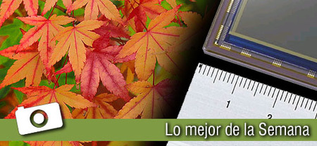 La última semana... en Xataka Foto