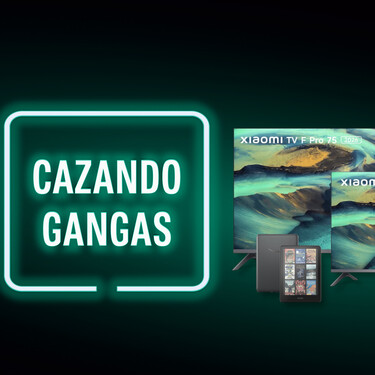 Cazando Gangas