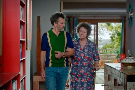 Dolor Y Gloria 2