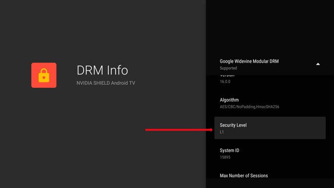 Cómo saber si tu Android TV está certificado para ver Netflix y otras ...