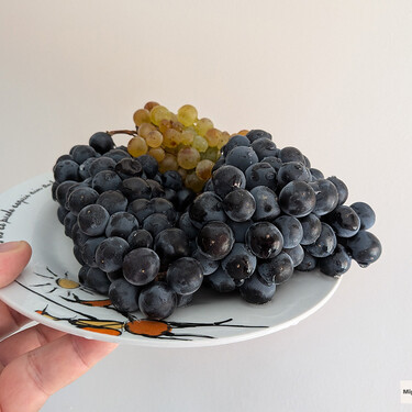 Tienen muchas pepitas y la piel más gruesa, pero las uvas para hacer vino le dan mil vueltas como fruta a las uvas de mesa