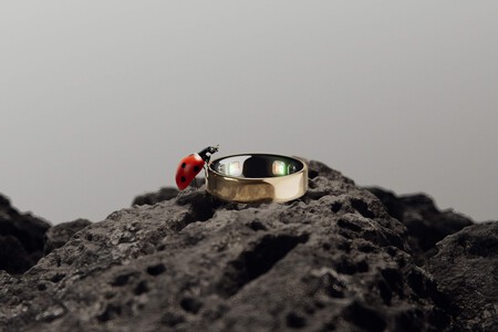 Oura Ring 5 Nature Ladybug