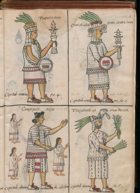 La gastronomía de los mexicas sigue en tu mesa: historiador revela por qué la gastronomía prehispánica nunca desaparecerá