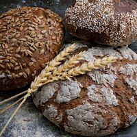 “Nunca en una bolsa de plástico”: la mejor forma de conservar el pan según un panadero