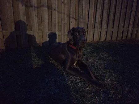 サムスンギャラクシーS8