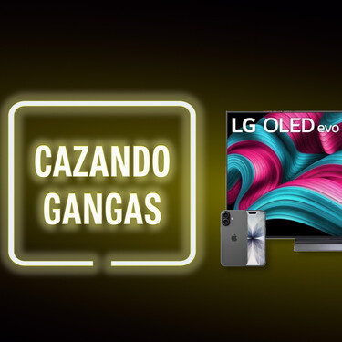 Cazando Gangas