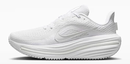 Zapatillas Nike Winflo 12