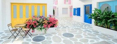 Prepara tu terraza y balcón para esta primavera: 13 plantas y flores fáciles de cuidar para convertirlo en un vergel 