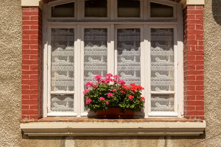 Pexels Jan Van Der Wolf 11680885 29780148