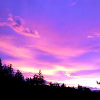 Las pymes turísticas viajan a Silicon Valley 