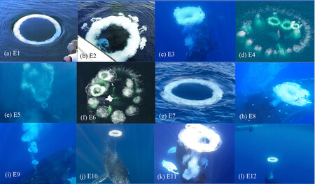 Bubble Rings