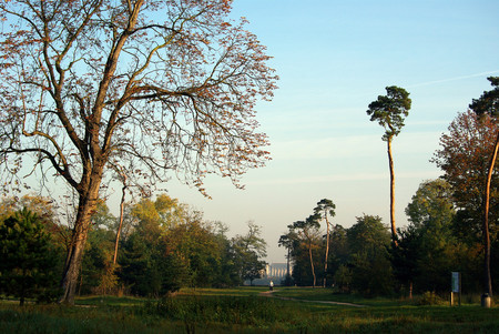 Vincennes