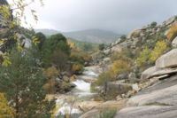 La Pedriza y la Charca Verde 