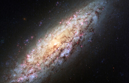 the NGC 6503 galaxy