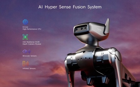 Captura de pantalla de la web de Dynamic 1