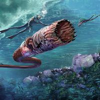 Xbox se lleva uno de los grandes survival de mundo abierto a Game Pass. Primer tráiler y ventana de lanzamiento de Subnautica 2
