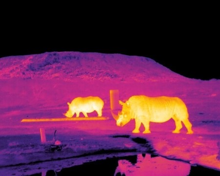 Software y técnicas usadas en astrofísica para monitorizar especies en peligro de extinción