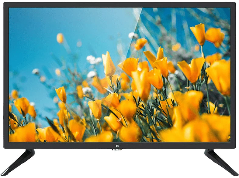 TV LED 24" - ok. ODL 24676HN