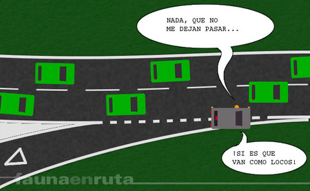 fauna en ruta: incorporaciones