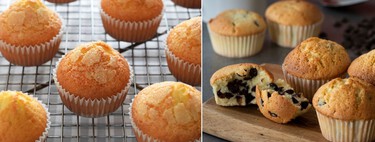 31 recetas de magdalenas caseras, desde las más clásicas y tradicionales a las más modernas