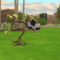 Los Sims 4, estos son todos los tipos de muerte 