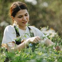 Las tijeras cortacésped a batería de Lidl, aun más rebajadas para que tengas el jardín perfecto sin esfuerzo 