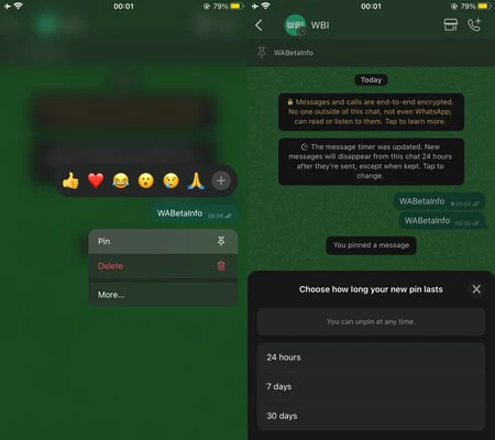 Wa 固定メッセージ機能 IOS