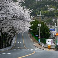 El sistema de peajes de Japón colapsó durante 38 horas. Decidieron subir las barreras y pidieron a la gente que pagara después. Lo hicieron