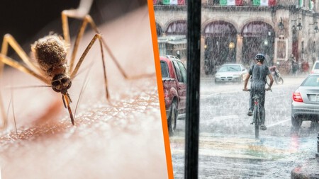 Este es el error más común que abre la puerta al dengue en temporada de lluvias (y cómo evitarlo)