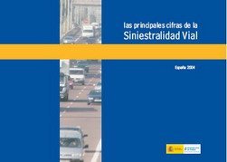 Informe sobre la siniestralidad vial en el 2004